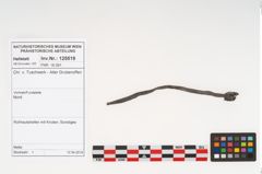 Foto von Rohhaut (NHMW-PRAE-125519)